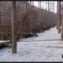 청옥산휴양림 이미지