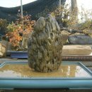 양석농장 이미지