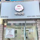 이뻐질개 애견미용실 이미지