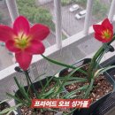 러브레드