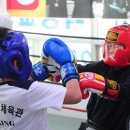 거성체육관 이미지