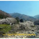 토지초등학교연곡분교장 이미지