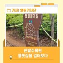 (합)한밭환경공사 | 한밭수목원 황톳길을 걸어보다
