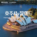 호뉴투어