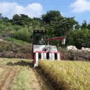 강진군농협쌀조합공동사업법인 이미지