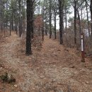 외씨버선길(오일도시인의길) 이미지