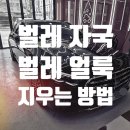 청룡스팀세차 | 부산 금정구 자동차 벌레 자국 제거 얼룩 지우기