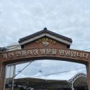 거진시장 티스토리