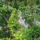 내곡농장 이미지