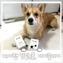 파트너펫 | 네이버 펫 바우처 앰버서더 활동 후기 바이랩 강아지 인공눈물 아이클리너