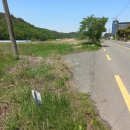 판문동5 이미지