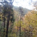 장성호 수변트레킹길 주차장 이미지