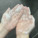 헤씨드