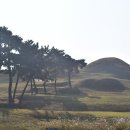 불로고분 주차장 내 이미지