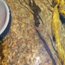 백운동계곡펜션 이미지