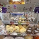 윤지영미용실 | 규리랑 후쿠오카여행 👯‍♀️