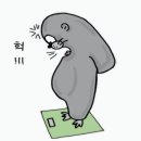 탐스짐 이미지