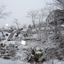 먼당농장 이미지