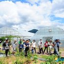 영월군농업기술센터 이미지