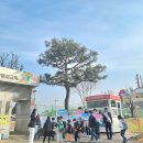 천안업성초등학교 이미지