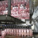 모란농장 이미지