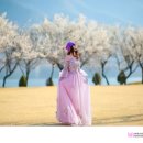 매화공원 이미지