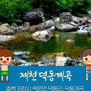 07월1(토요일) 제천 오지생태숲길트레킹 구한진 7시출발 이미지