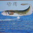 장치찜을 아시나요? 이미지