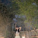 스테이이루카 이미지