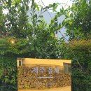 제주윤채 이미지