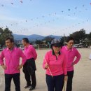 송해초등학교 이미지