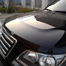 멧돼지집 이미지