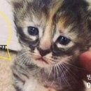 문화의거리_동 이미지