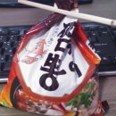 뽀글이 Daum카페