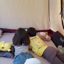 봉봉캠핑장 이미지