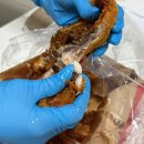 충민로4길 | 통닭대장 송파점 | 만 원대 테이크아웃으로 즐기는 치맥 후기