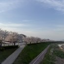 동영주유소 - 군산시 동군산로 467 | 동영주유소