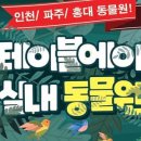 테이블에이 이미지