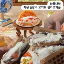 샌치한 와플치노 | 와플대학 신메뉴 자몽 말랑떡 요거트 와플 후기 (수지구청점)