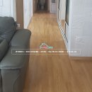 관저 예미지 이미지