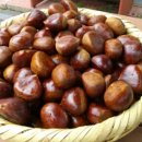 알밤농장 이미지