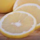 민플란트치과의원 이미지