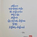 조언한마디씩 부탁드려요 이미지