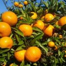 알곡농장 이미지