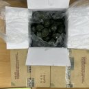 농성2동 행정복지센터 Daum카페