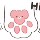 플라워돌스 이미지