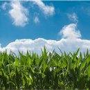 김경식농장 이미지