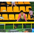 함평나비(광주) 이미지