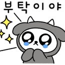 다이소청주 이미지