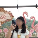 [속초양양 여행] 낙산사, 서피비치, 사진명소 유채꽃밭, 영랑호 자전거, 누룽지오징어순대 맛집+ 일상 조금